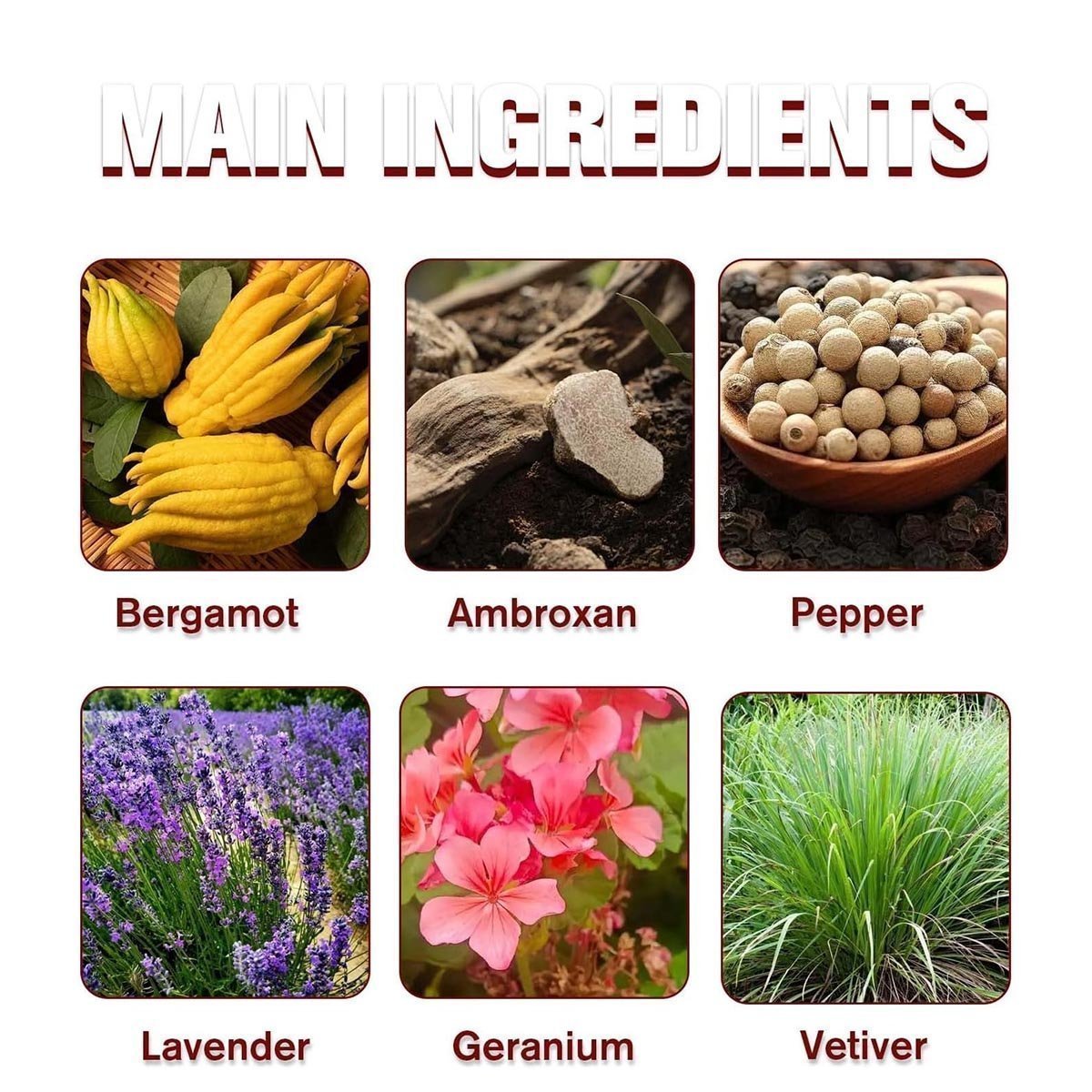 Charmings Perfume, Natural Refreshing Perfume Oil, Long-lasting Fragrances Not Pungent, Elegant Perfume for Women, Gifts for Firend, 10ml - Image 2