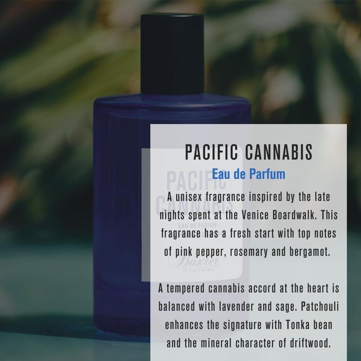 Baxter of California Pacific Cannabis Eau de Parfum - Unisex Fragrance - Vapourized Perfume - Lasting Impact Addictive Scent - 100ml - Image 3