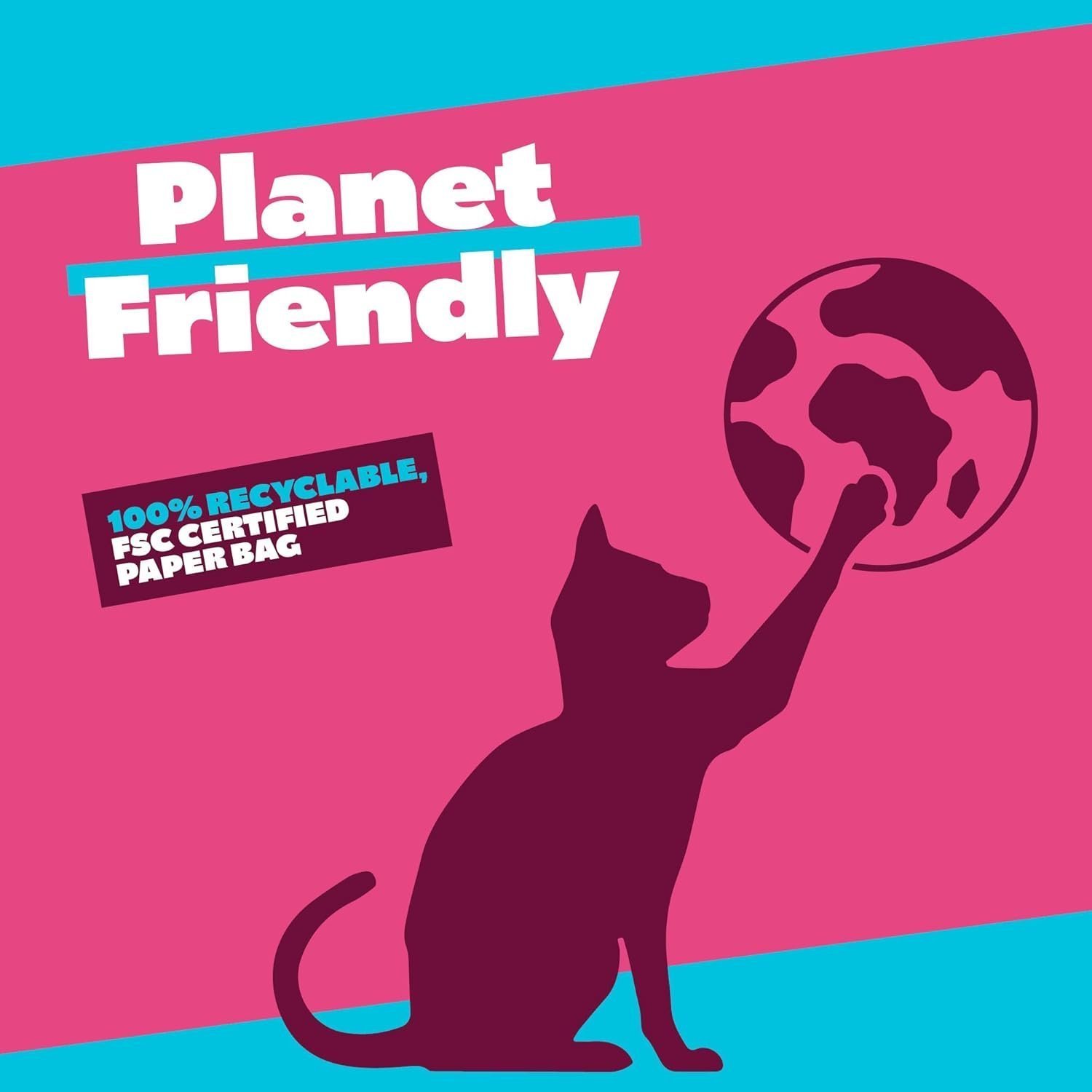 Felight Non-Clumping Cat Litter (20L Bag) - Image 4