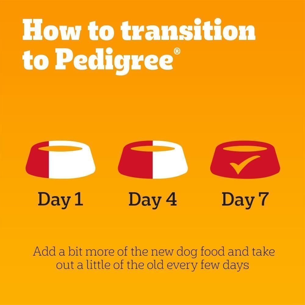 Pedigree Junior Wet Dog Food for Young Dogs and Puppies, 12 Pouches (12 x 100 g) - Image 2
