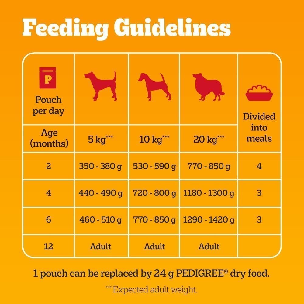 Pedigree Junior Wet Dog Food for Young Dogs and Puppies, 12 Pouches (12 x 100 g) - Image 4