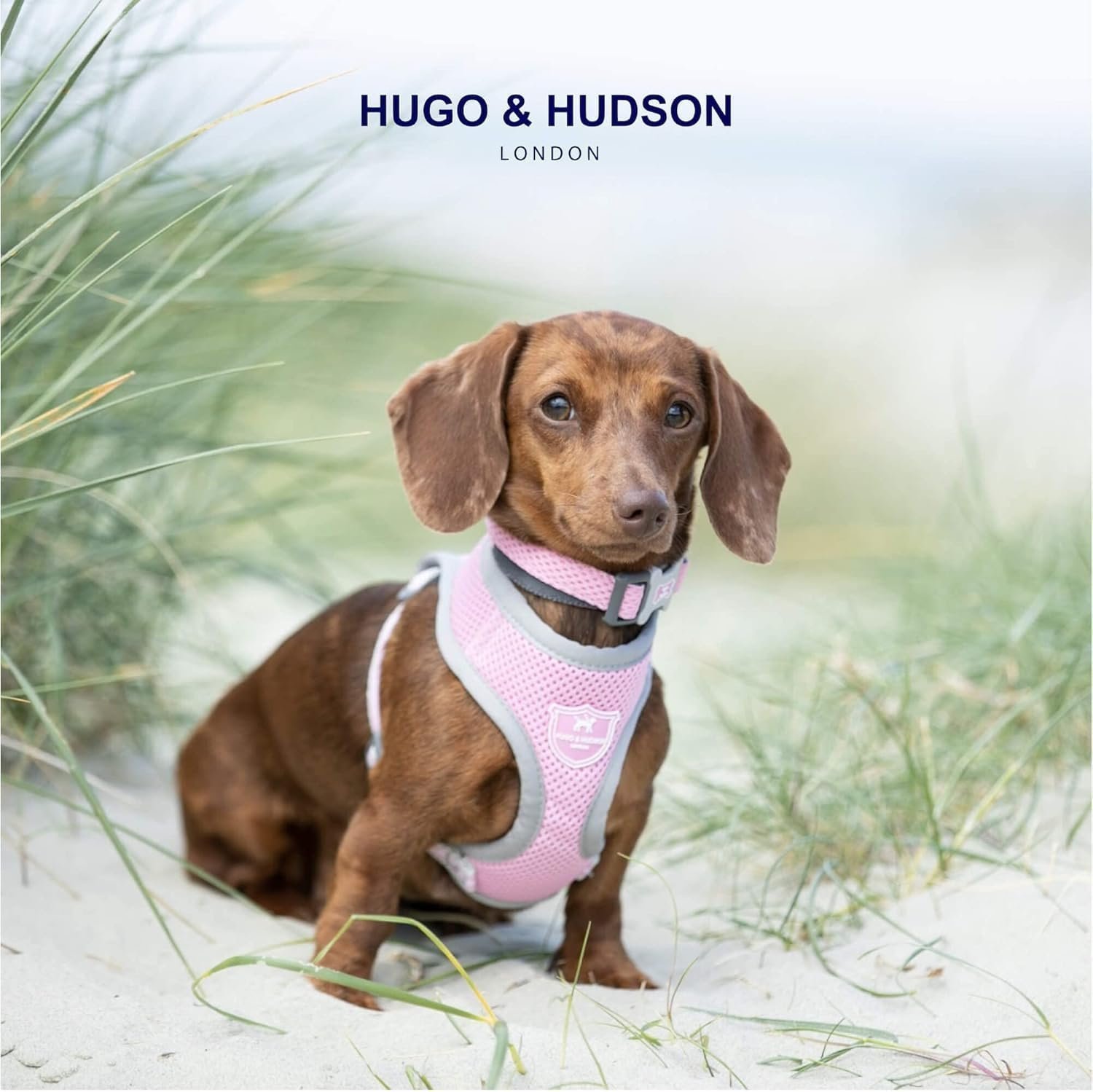 HUGO & HUDSON Dog Collar with Quick Release Safety Buckle and Quick Dry Mesh Fabric, Pink, L - Image 2