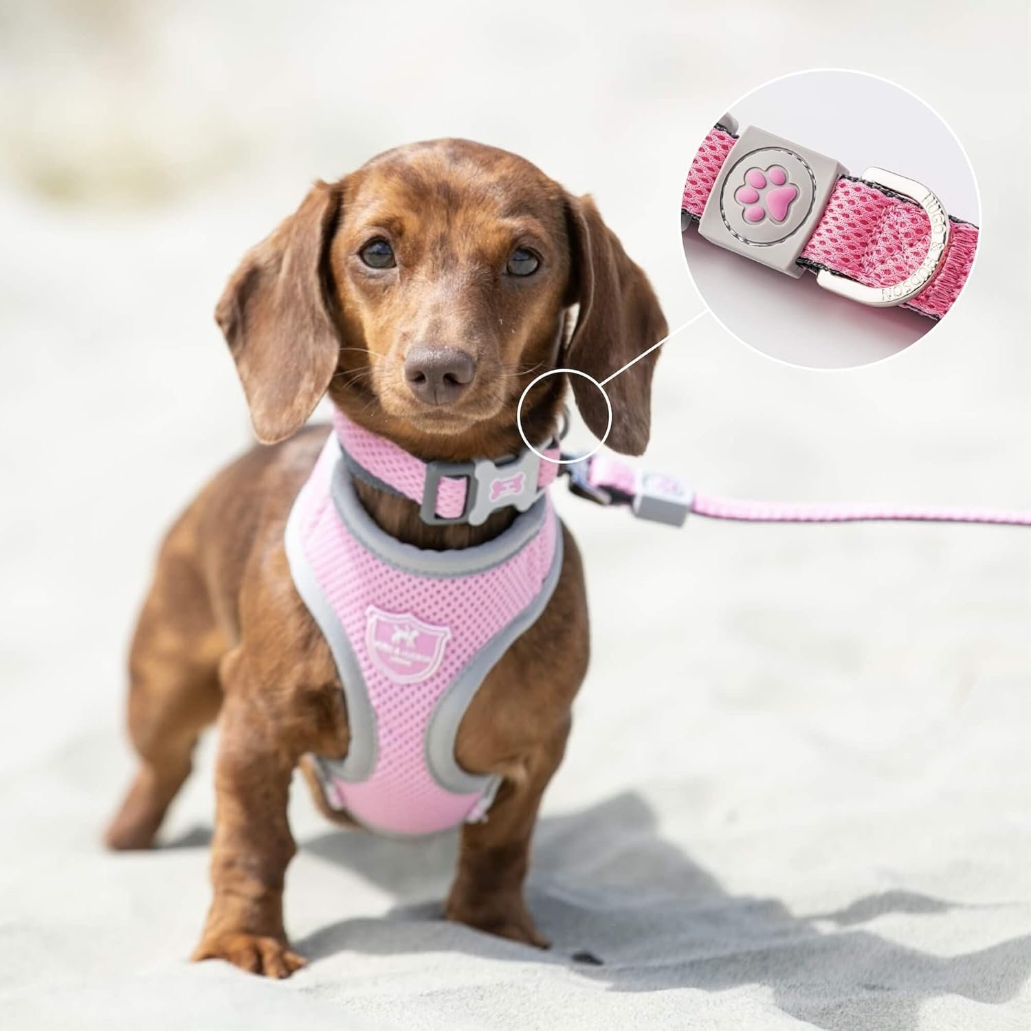 HUGO & HUDSON Dog Collar with Quick Release Safety Buckle and Quick Dry Mesh Fabric, Pink, L - Image 3