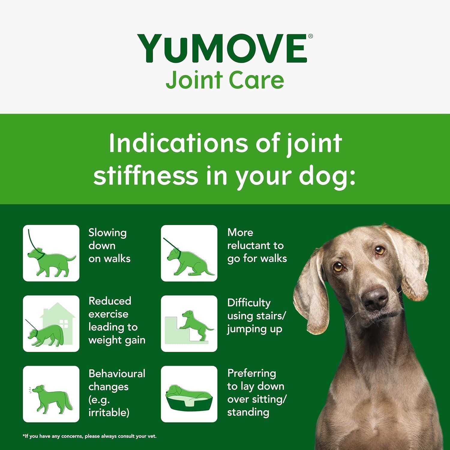 YuMOVE Senior Dog | High Strength Joint Supplement for Older, Stiff Dogs with Glucosamine, Chondroitin, Green Lipped Mussel | Aged 9+ - Image 4