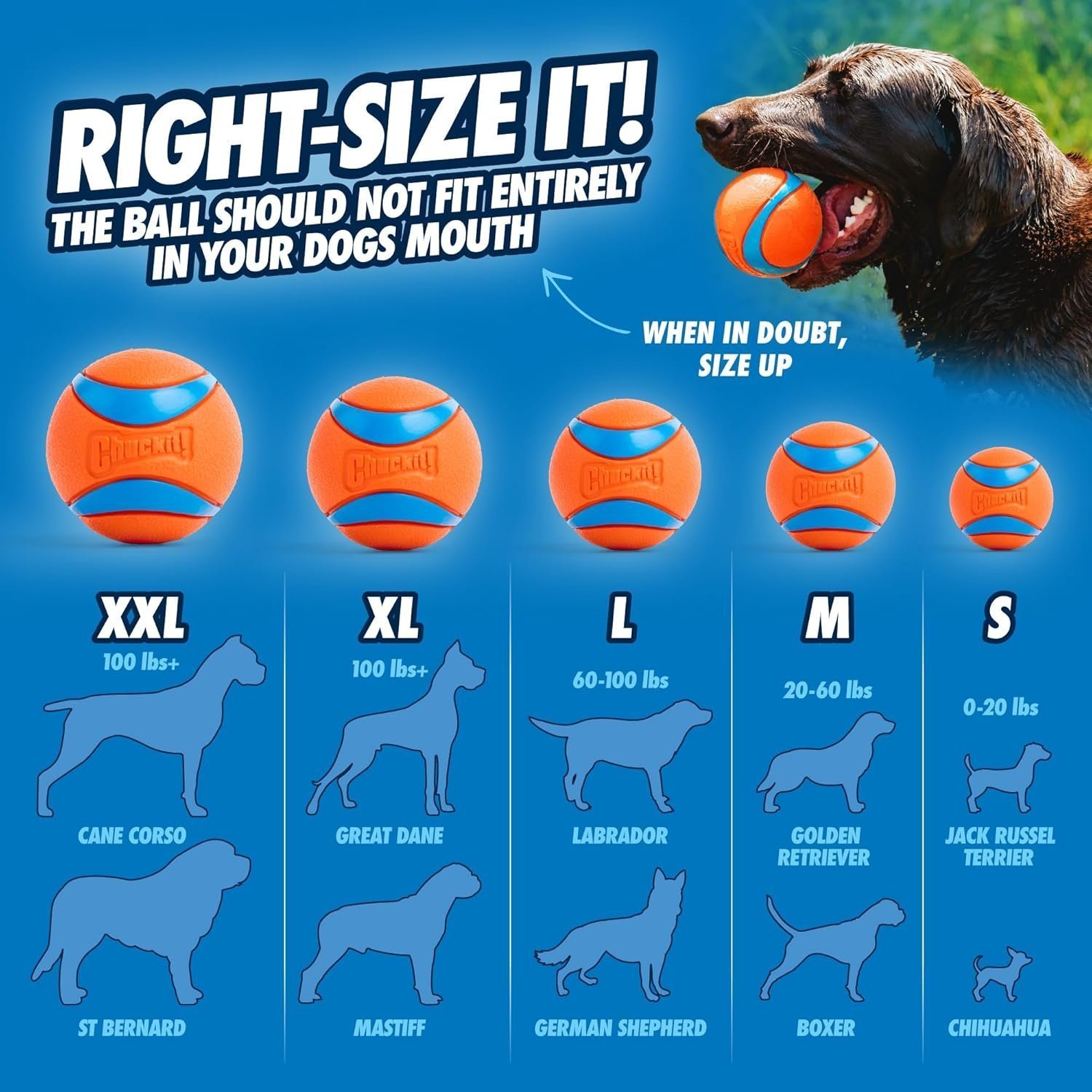 ChuckIt! Ultra Ball Dog Toy, Durable High Bounce Floating Rubber Dog Ball, Launcher Compatible Toy For Dogs, Medium (Pack of 2) - Image 4