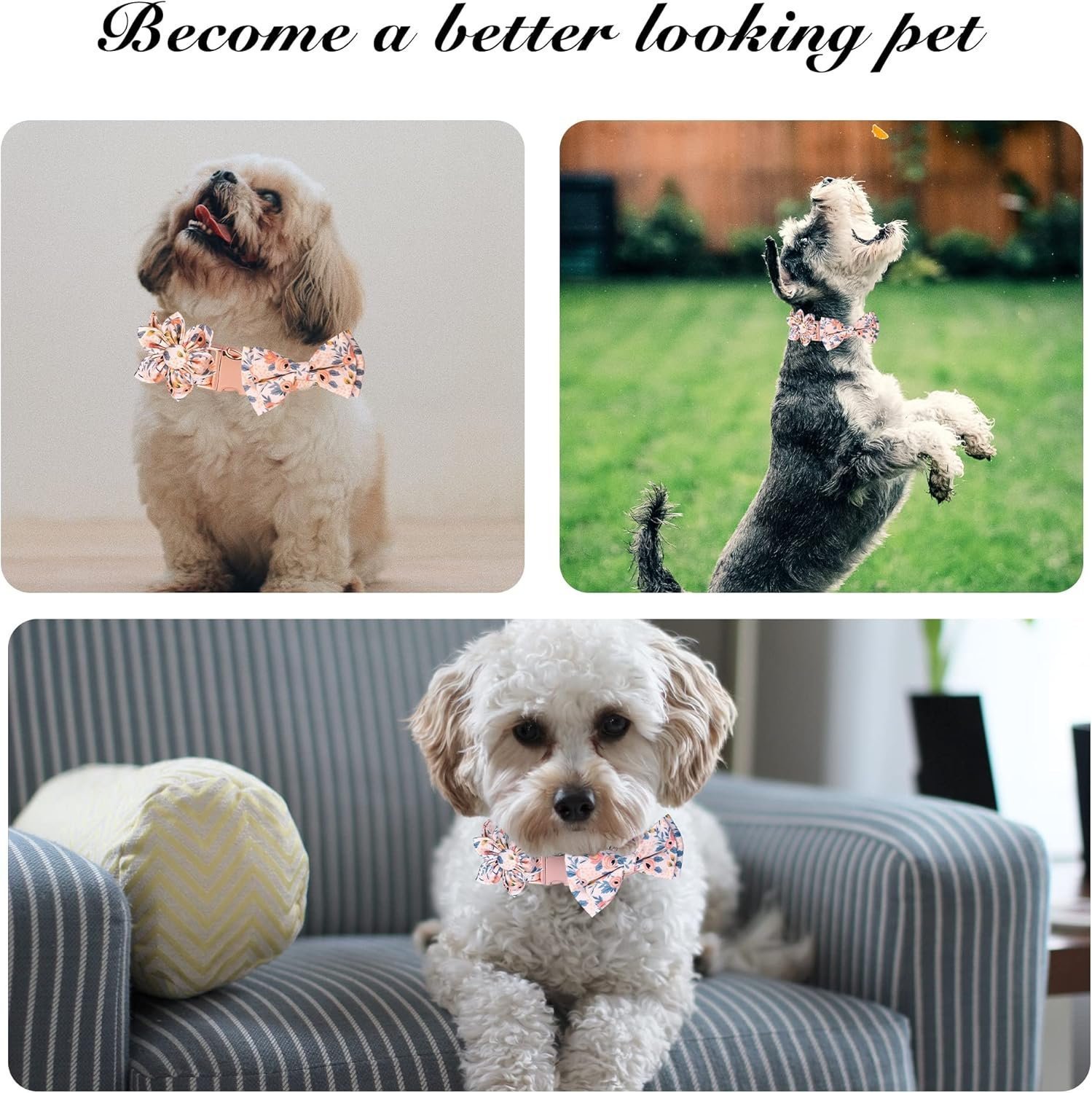 Dog Collar, Adjustable Dog Collars with Metal Quick Release Buckle, Daisy Tie & Bow tie Collar Dogs Collars (Orange) - Image 5